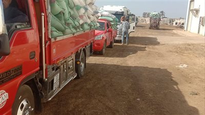 محافظ كفرالشيخ: استلام 185 ألف طن قمح