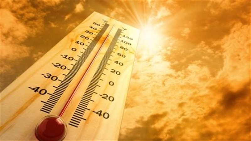 موجات الحر، فيتو