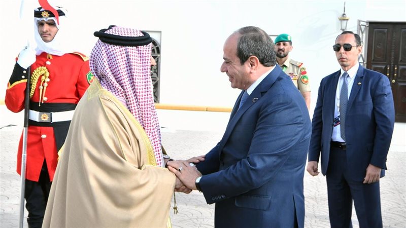 الرئيس السيسي وملك
