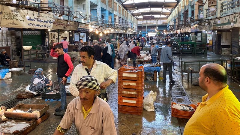 تفسير حلم بائع السمك
