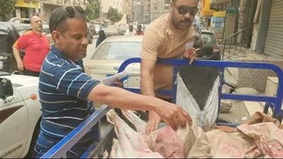 ضبط 8 أطنان أسماك ودهون فاسدة في الجيزة 