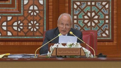 أبو الغيط: الاتحاد الأوروبي والدول العربية يتبنيان فكرة عقد مؤتمر دولي للقضية الفلسطينية