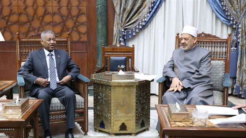 شيخ الأزهر وسفير