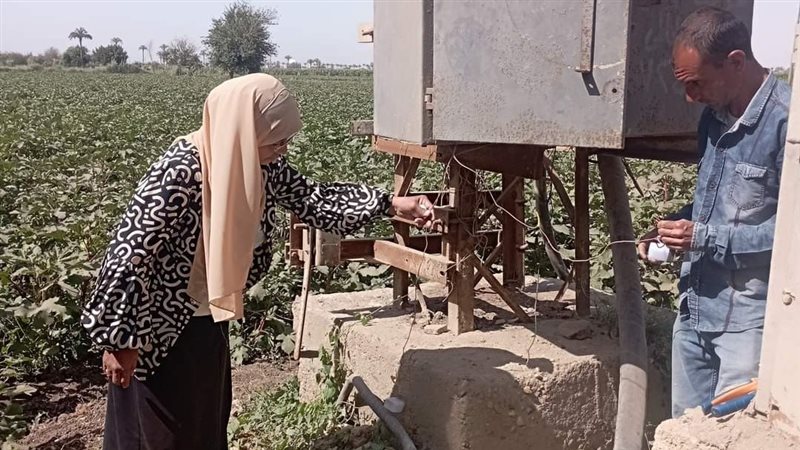 وتركيب خلية بلوحة