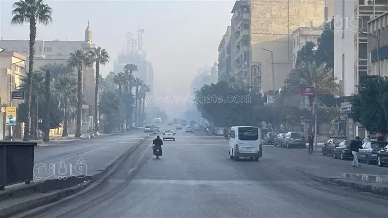 حالة الطقس، فيتو