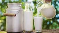 اللبن الحليب والرائب، أفضل منتجات ألبان للبشرة 