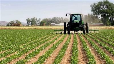 وزارة الزراعة: تريليون جنيه لاستصلاح الأراضي والحفاظ على الأمن الغذائي (فيديو)