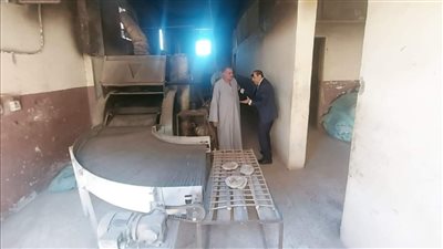 تحرير 25 محضرا تموينيا في الأقصر