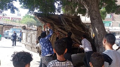 رئيس حي غرب الإسكندرية تقود حملة لإزالة الإشغالات 