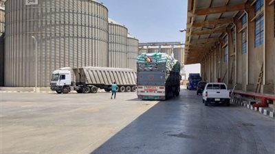استقبال 573 ألف طن قمح بصوامع محافظة الشرقية 