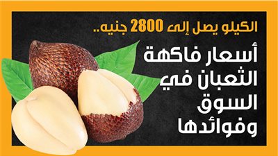 الكيلو يصل إلى 2800 جنيه.. أسعار فاكهة الثعبان في السوق وفوائدها (إنفوجراف)