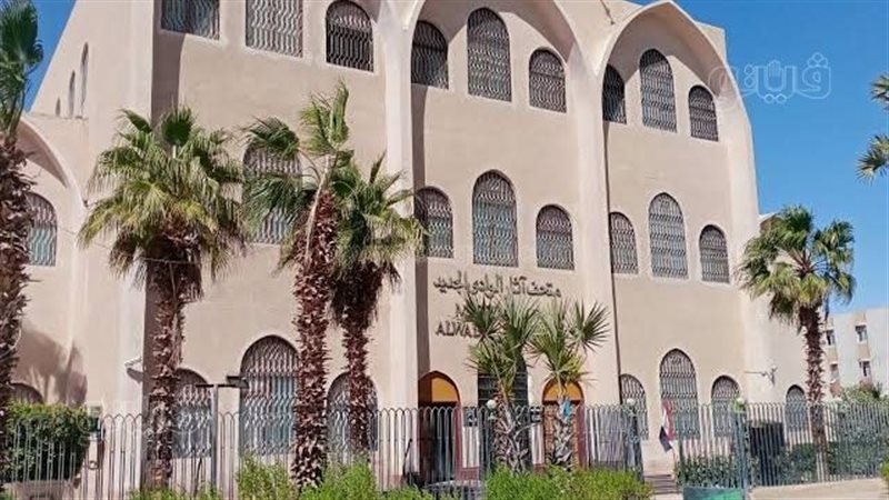 متحف آثار الوادي
