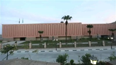 علاء المنشاوي: 