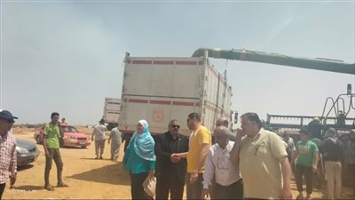  توريد ٤٦ ألفا و٥٩١ طن قمح لصوامع الإسماعيلية (صور)