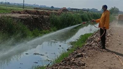 صحة الشرقية: استمرار حملات مكافحة ناقلات الأمراض بفاقوس 