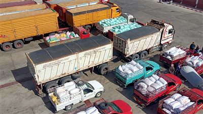 توريد 300 ألف و763 طن قمح بصوامع الوادي الجديد 