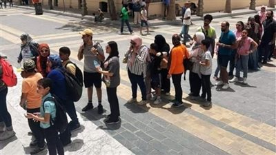 في يومها العالمي، متاحف الإسكندرية تستقبل زوارها بالورود والحلويات (صور)