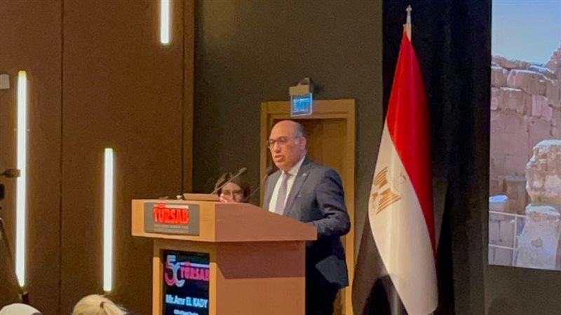 عمرو القاضي رئيس