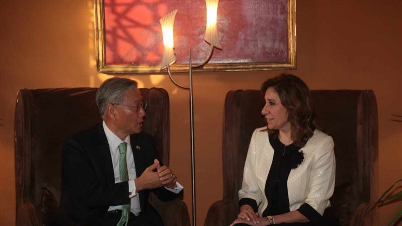 وزيرة الثقافة وسفير