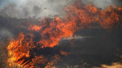 حريق ضخم بمستوطنة هارحوما الإسرائيلية وإجلاء العشرات