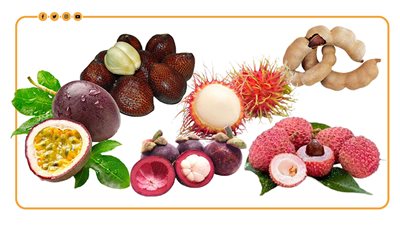 الكيلو يصل لـ 2800 جنيه.. أغرب الفواكه في السوق المصري (إنفوجراف)