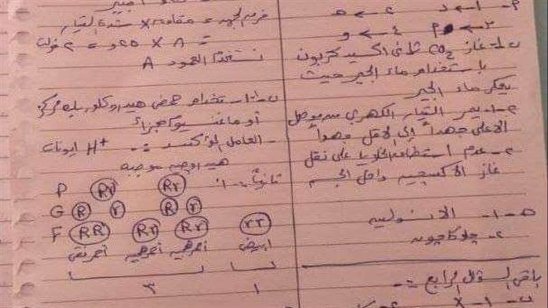 نموذج امتحان العلوم