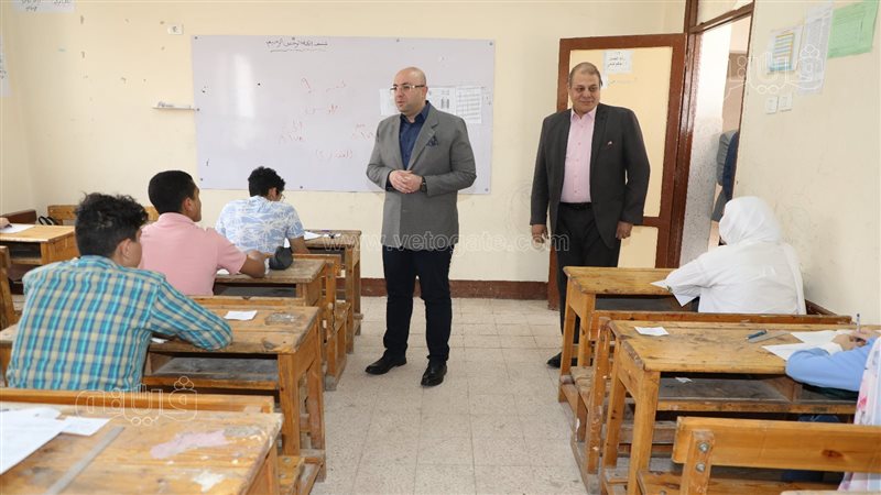لجان، فيتو