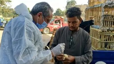 توعية المواطنين بمبادئ التربية المنزلية الآمنة للطيور للحفاظ على الثروة الحيوانية بالأقصر