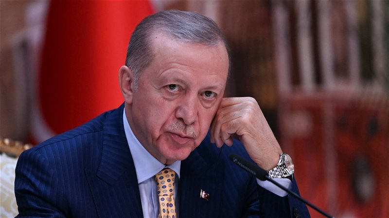 أردوغان، فيتو