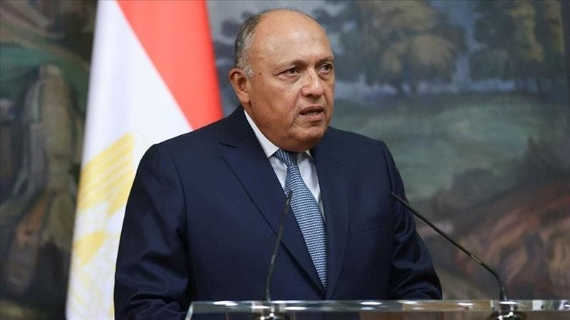 سامح شكرى وزير الخارجية،