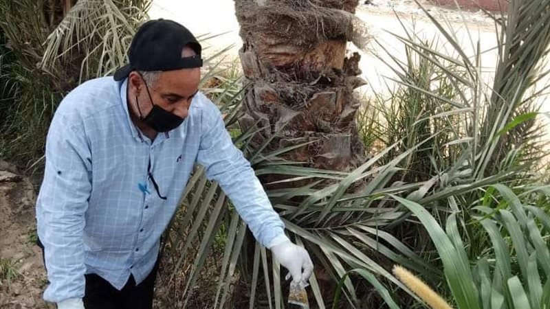 فعاليات الحملة القومية