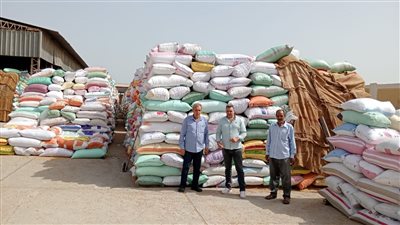 توريد 203 آلاف طن قمح لشون وصوامع البحيرة 