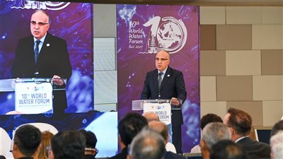 تحذير مصري للمجتمع الدولي بشأن مياه نهر النيل