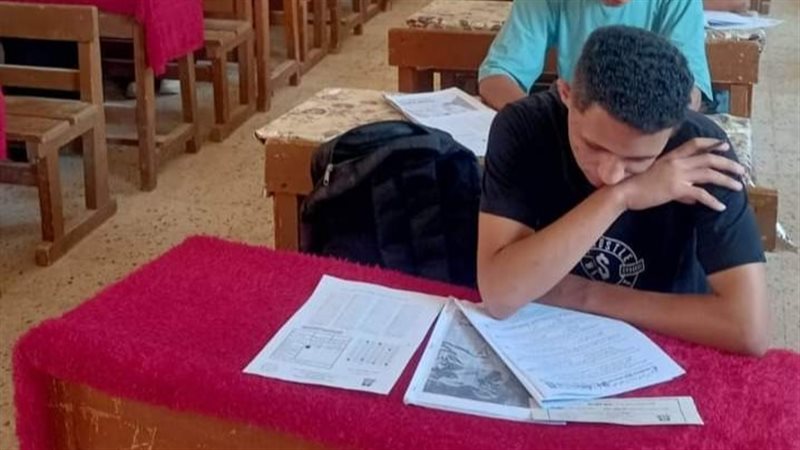 نموذج المحاكاة، ڤيتو