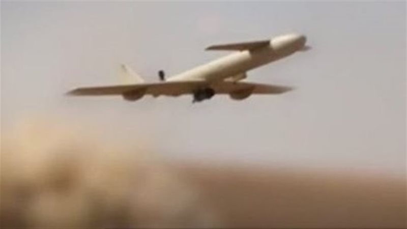 طائرة مسيرة، فيتو