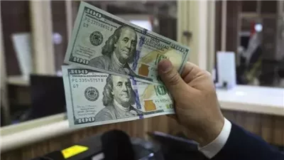  سعر الدولار في البنوك المصرية اليوم الجمعة 26- 07- 2024