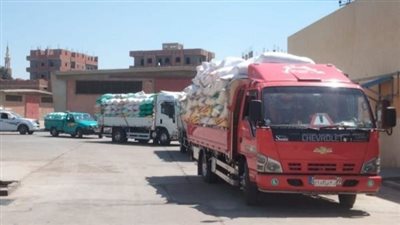 الانتهاء من حصاد القمح بمحافظة الشرقية 