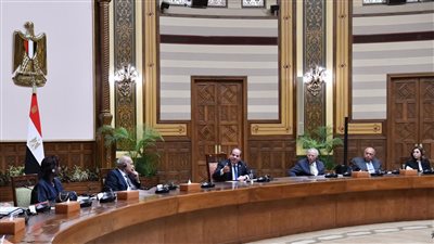 السيسي: حريصون على دعم المشروعات الثقافية الهادفة إلى رؤى مبتكرة وفعالة لدعم الشباب والنشء