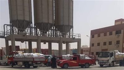 توريد 328 ألفا 271 طن قمح بصوامع الوادي الجديد (صور)