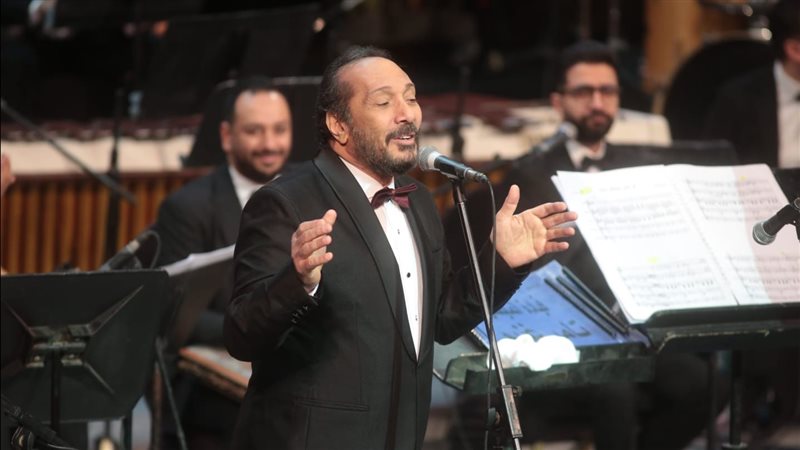 على الحجار