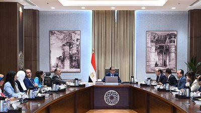 الحكومة: ملتزمون بسرعة ضخ سيولة نقدية للمصدرين، تنفيذًا للتوجيهات الرئاسية 