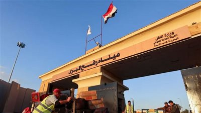 مصدر رفيع المستوى: احترام مصر لمعاهداتها لا يمنعها من الحفاظ على أمنها القومي
