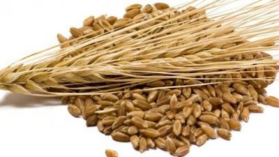 فوائد الشعير، لصحة الكلى وإنقاص الوزن الزائد