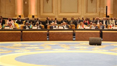 المشاط: المؤسسات المالية العربية تشكل عنصرًا فاعلًا في إصلاح المنظومة الدولية