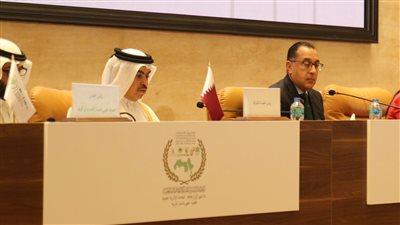 وزير المالية القطري: أنشطة المؤسسات المالية العربية ساهمت في التخفيف من الآثار الاقتصادية السلبية