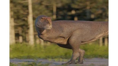 العثور على نوع جديد من الديناصورات آكلة اللحوم