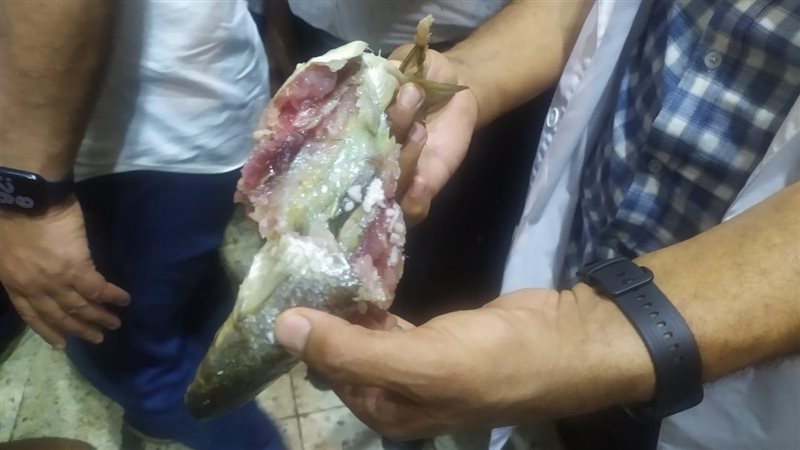 ضبط فسيخ فاسد، فيتو