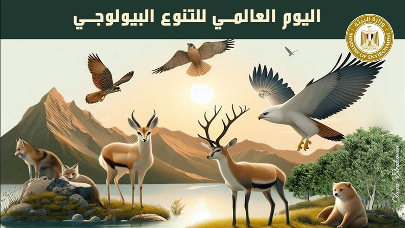 اليوم العالمي للتنوع