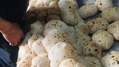 تحرير 91 محضرا ومخالفة تموينية في الإسماعيلية ‏‎