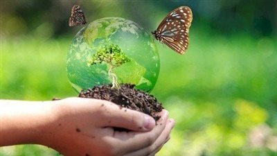  مصر تحتفل باليوم الدولي للتنوع البيولوجي.. إنشاء مناطق محمية جديدة.. مكافحة الصيد الجائر والاتجار غير المشروع بالحياة البرية.. ونشر الوعي بين أفراد المجتمع